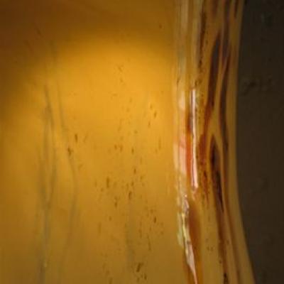 Img 1231 Img 1231
